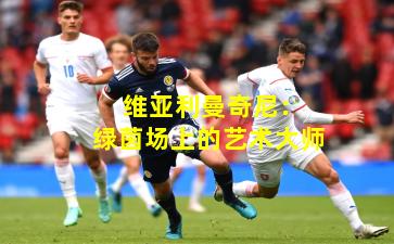  维亚利曼奇尼：绿茵场上的艺术大师