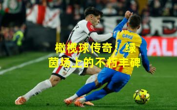 橄榄球传奇：绿茵场上的不朽丰碑