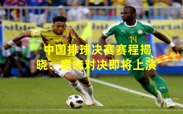 中国排球决赛赛程揭晓：巅峰对决即将上演