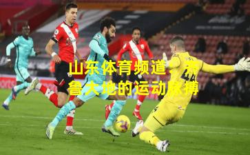 山东体育频道：齐鲁大地的运动脉搏